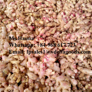 Gingembre noir, de haute qualité, 2021, livraison gratuite - Product Image 4