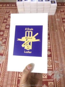 Balle de Cricket en cuir - Product Image 5