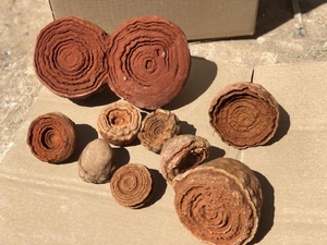 Stromatolithes, fossiles du Maroc issus du sable - Product Image 2