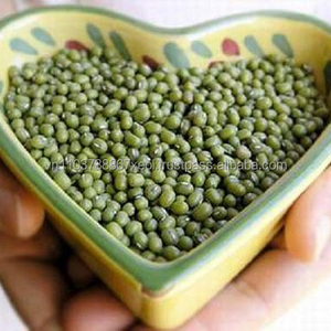<b>GREEN</b> <b>BEAN</b> HIGH QUALITY FROM VIET NAM in 2020 - Product Image 1