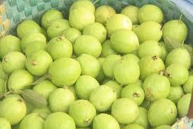 ฝรั่งสีแดงสด-หวานอร่อย - Product Image 3