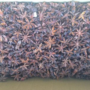 Picante y de alta calidad de anís estrellado, VIETNAM - Product Image 4