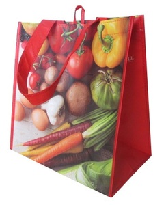 Vietnam 100% Made 100/110/120 Gsm PP Bolsa ecológica no tejida Bolsa de compras reutilizable - Product Image 1