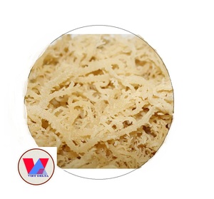 Processus séché de haute qualité Eucheuma Spinosum Laver en sac d'algues séchées Contacter Mme Lily + 84 906927736 - Product Image 1