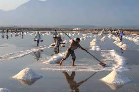 Sel de mer de cuisson - Product Image 3