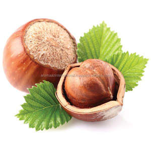 น้ำมันสกัดเย็นน้ำมันเฮเซลนัทแบบออร์แกนิกมาตรฐาน ISO - Product Image 5