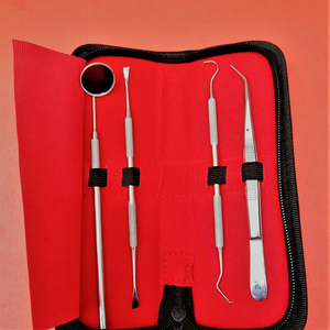 Kit d'outils d'hygiène dentaire professionnels 2026 – 4 pièces en acier inoxydable, détartreur manuel, grattoir, équipement de nettoyage et de restauration dentaire - Product Image 4