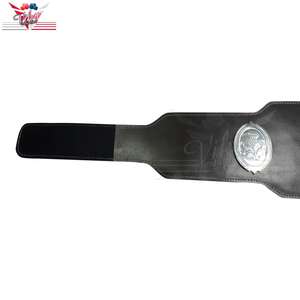 Ceinture de titre du championnat de boxe écossais, ceinture du conseil de la zone suédoise 2022 sur mesure - Product Image 4