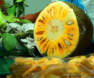 Proveedor de Jaca IQF/mejor precio Frozen jackfruit whole IQF jackfruit beneficios de VIETNAM - Product Image 3