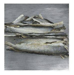 ผิวปลาดุกในปริมาณมากในราคาที่ดีที่สุด - Product Image 5