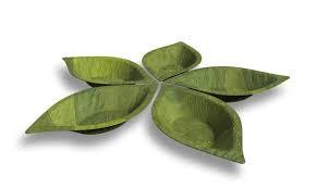 Placa Areca de 12 pulgadas - Product Image 2