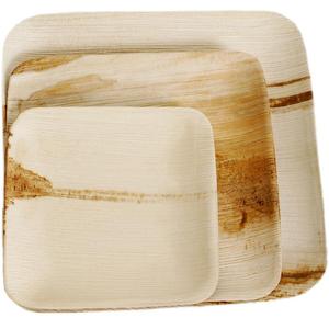 Placas biodegradables para fiesta de Palma, Areca, Ms: vacaciones - Product Image 1