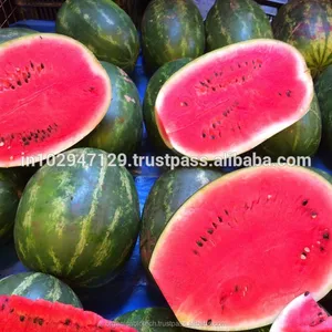 Enzymic product organic fertilizer prices to increase the size of watermelon