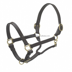 Licou en cuir de cheval arabe licou de cheval en cuir rembourré fait à la main de haute qualité avec matériel en laiton réglable en plein cob - Product Image 1