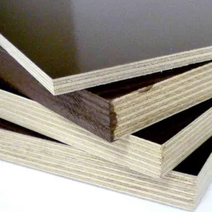 Leading Manufacturer of Prime Quality Based Film Faced Commercial Plywood