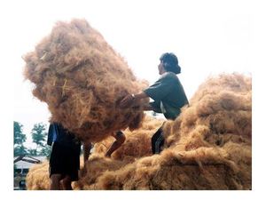 Offre Spéciale FIBRE DE NOIX DE COCO AVEC LE PRIX LE MOINS CHER - Product Image 3