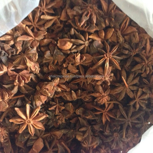 Picante y de alta calidad de anís estrellado, VIETNAM - Product Image 5