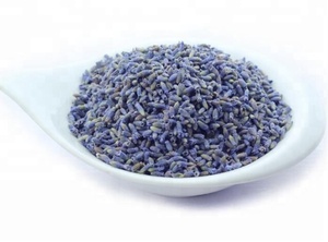 <strong>BUY</strong> Lavender Flower Tea Buds From Lavandula Angustifolia for Raw Tea - Product Image 2