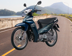 Bicicleta con Motor, fabricada en Vietnam, 110cc - Product Image 3