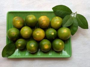 "Green Kumquat Fruit/Clementine Mandarin/Fresh Calamansi a la venta 2019-Mejor precio - Product Image 2