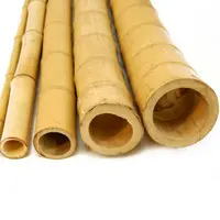 Natural Dry Raw Bamboo Poles, Sticks, Cheap
