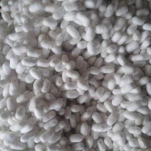 Vers à Soie 100% Naturels pour les Soins de la Peau et Cocon de Soie Coupé - Product Image 6