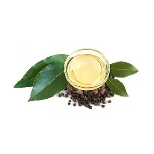 100% Pure And Natural Bay Leaf Essential Oil Helps in Clean and strengthen hair at Low Price Bulk Available