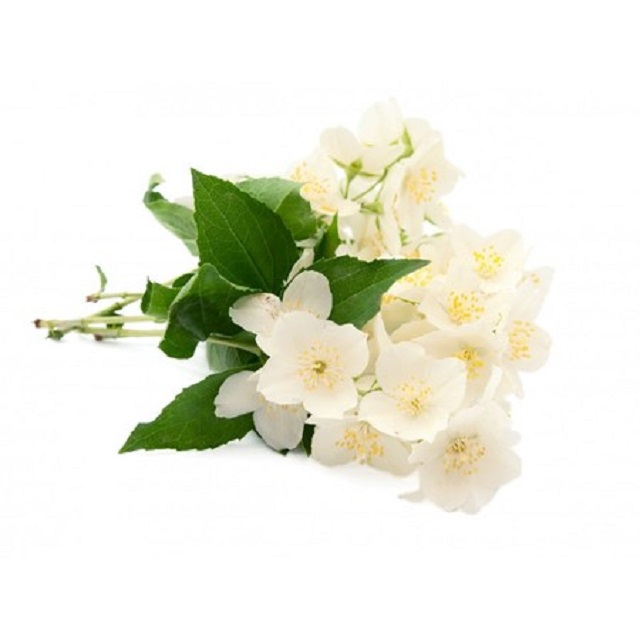 Jasmine Sambac Hydrosol (цветочная вода) оптом, высокое качество по низкой цене с сертификатом безопасности MSDS