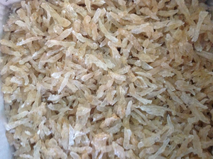 Sterculia Foetida/best Price/high Quality - Product Image 5