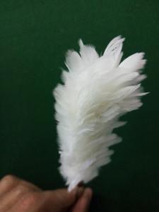 หินไฟสีขาวเจ็ทแบบเต็มรูปแบบตามสั่งสำหรับเกลนการ์รี่ Balmoral hackles ยาวย้อม Balmoral - Product Image 4