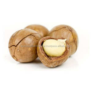 Aceite líquido de nuez de Macadamia prensado en frío puro certificado ISO y WHO a granel de proveedor Premium - Product Image 3