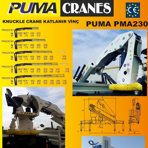 New <b>Truck</b> <b>Mounted</b> Mobile Crane PUMA <b>Engine</b> 1-100ton Rated Load 30m Max. Lifting Height CE Certified 12 Months Warranty - Product Image 2