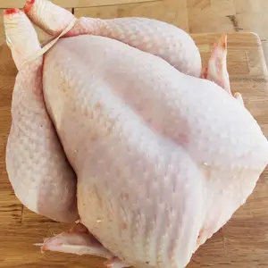 Orgánica de alta calidad congelado halal pollo entero