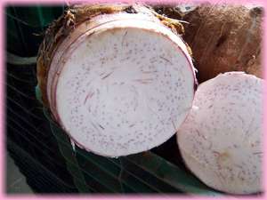 BEST SELLER: FROZEN <b>TARO</b> FROM VIETNAM - Product Image 4