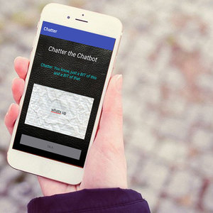 Empresa de Servicios de chat personalizados en India, Protolabz, eservicios - Product Image 2