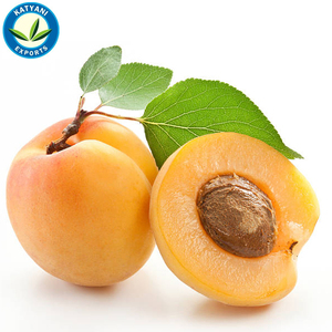 Vente en gros de l'huile de noyau d'abricot organique naturelle pure 100% pour les cheveux et la peau-Obtenez le vôtre commande en gros à des prix compétitifs aujourd'hui - Product Image 2