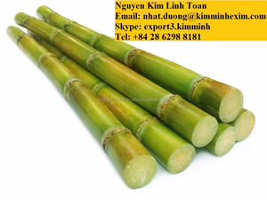 Caña de Azúcar fresca (sin piel) - Product Image 4