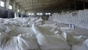 Fécula de Tapioca Natural, la mejor venta, para Tapioca de Vietnam - Product Image 4