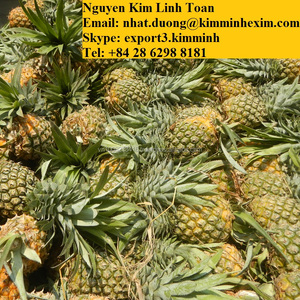 Ananas jaunes frais 10-12 cm 1 kg Marque KME Origine Vietnam - Product Image 3