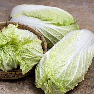 Bán buôn Cải bắp Kim Chi - Product Image 5