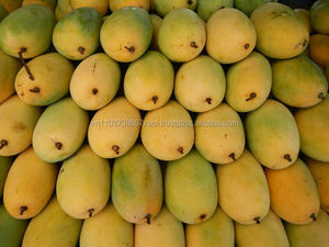 Mango enlatado vietnamita en jarabe para mayoristas de fruta enlatada de alta calidad - Product Image 2