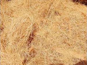 La buena fibra de coco - Product Image 5