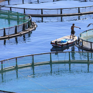 โปรไบโอติกที่เหมาะสำหรับการเลี้ยงปลานิลในไนจีเรีย - Product Image 5