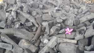 Premium Vietnam Khaya Black Charcoal – Factory-Direct Supply for Wholesale and Commercial <b>BBQ</b> Markets - Product Image 3