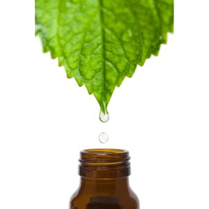 Huile essentielle de menthe certifiée biologique, huile naturelle pure pour massage, diffuseur et relaxation - Product Image 2