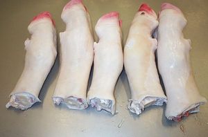 HALAL Certified Frozen <b>Beef</b> Feet and Cow Legs BQF Process Vacuum Pack South Africa - Product Image 2