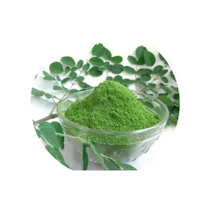 Amino Acid Fresh Moringa Powder Leaf for Sale