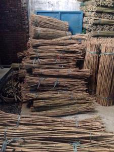 เสาไม้ไผ่จากเวียดนาม ราคาดีที่สุดจากเวียดนาม - Product Image 4