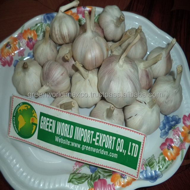 Свежий чеснок премиум-класса! Специальная цена!