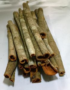 El precio más barato y canela orgánica seca de alta calidad CULTIVO MÁS RECIENTE en Vietnam Ms Holiday - Product Image 4